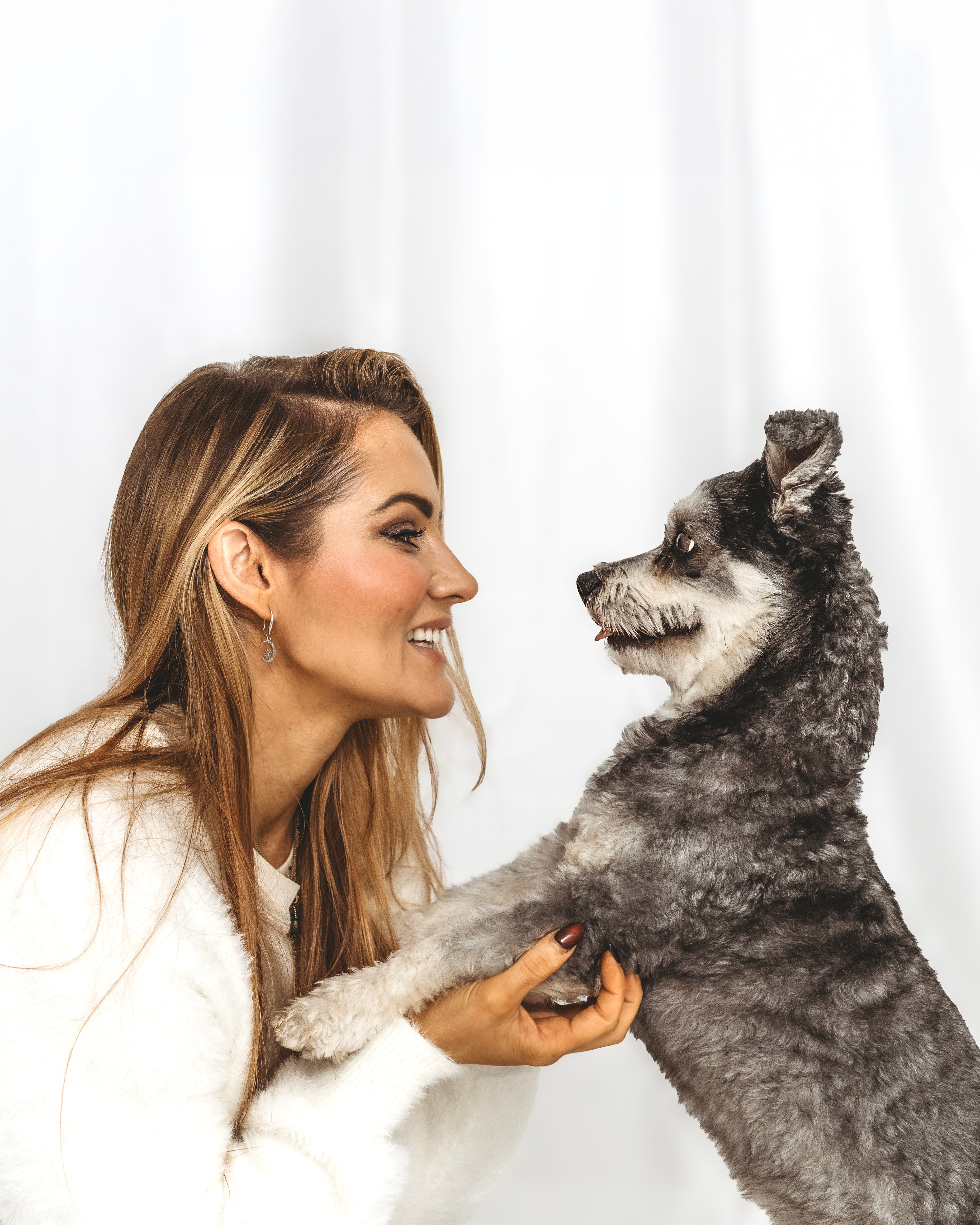 Doggo Photoshoot