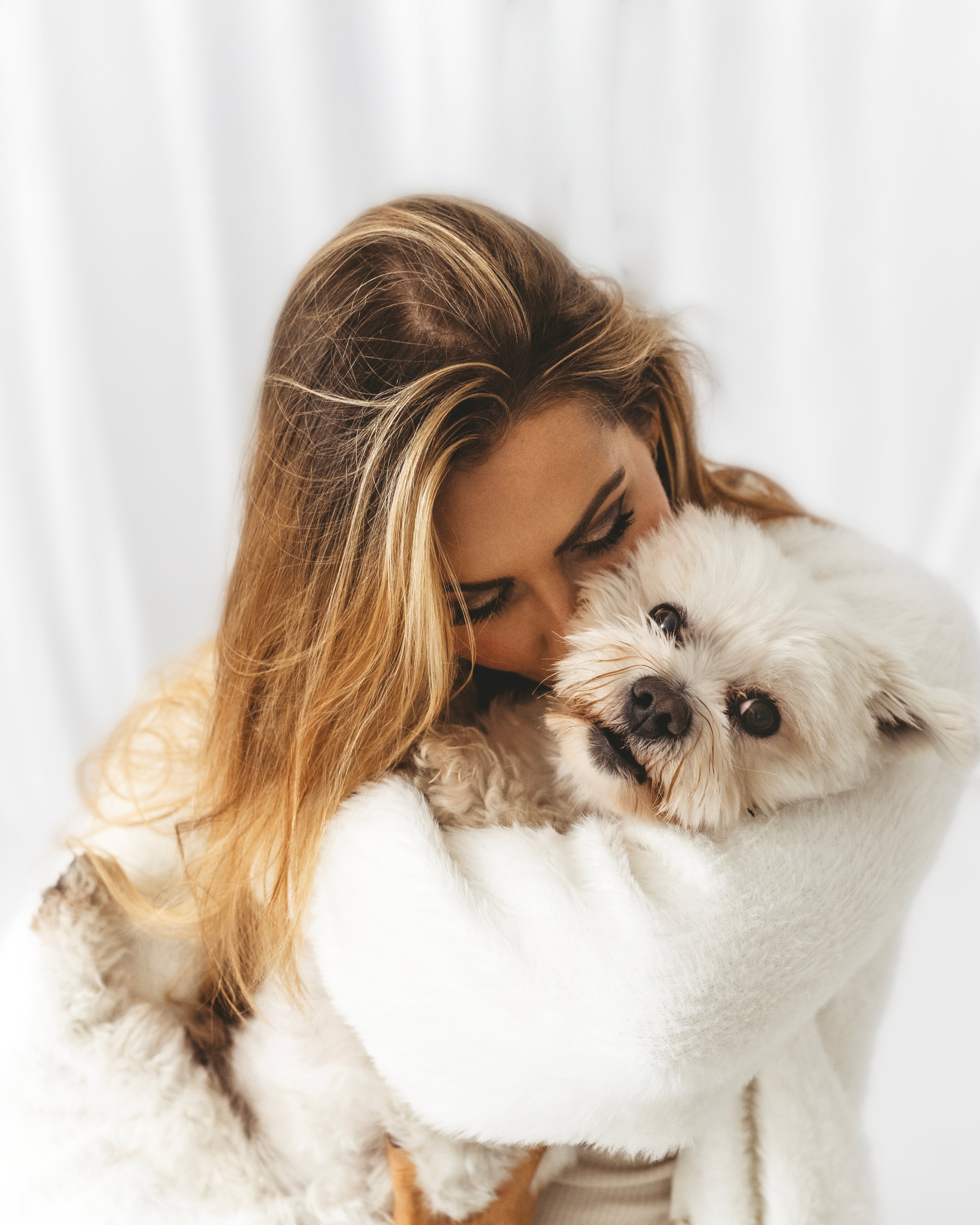 Doggo Photoshoot