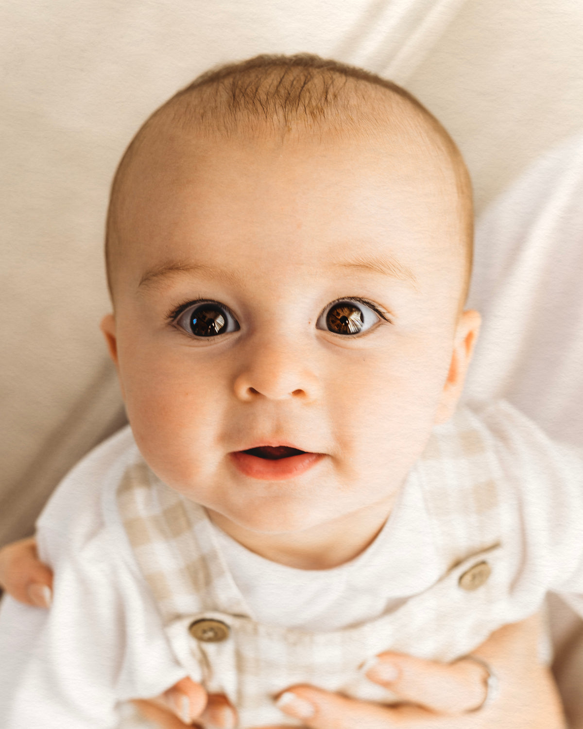 Sitter Photoshoot (6-10 months)